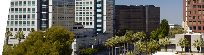 4 Modern office buildings and palm trees.